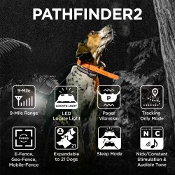 Pathfinder 2 dogtra